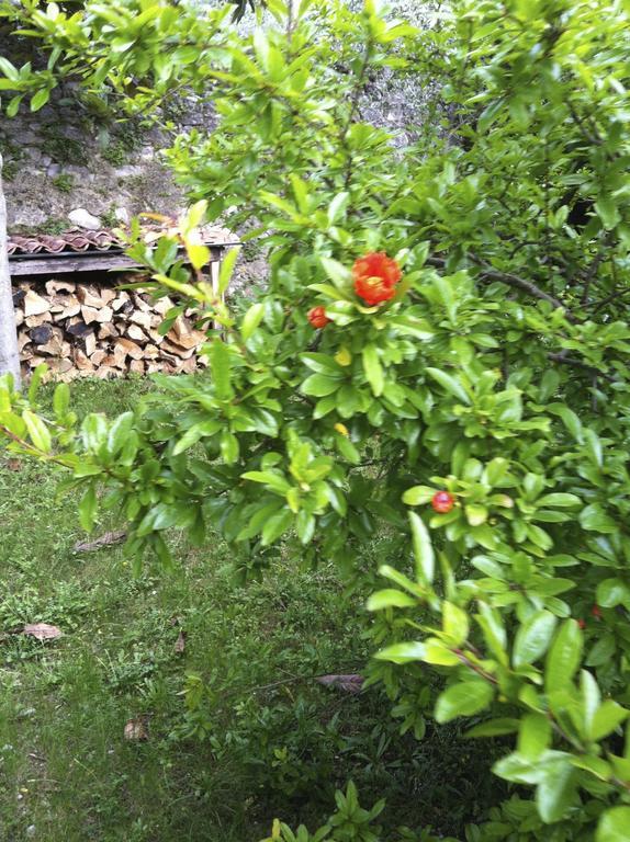 3 Rooms Apartment Whit Balcony And Lake Wiew Malcesine Buitenkant foto